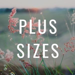 Plus sizes category